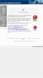 Mobile Screenshot of goldinmgmt.com